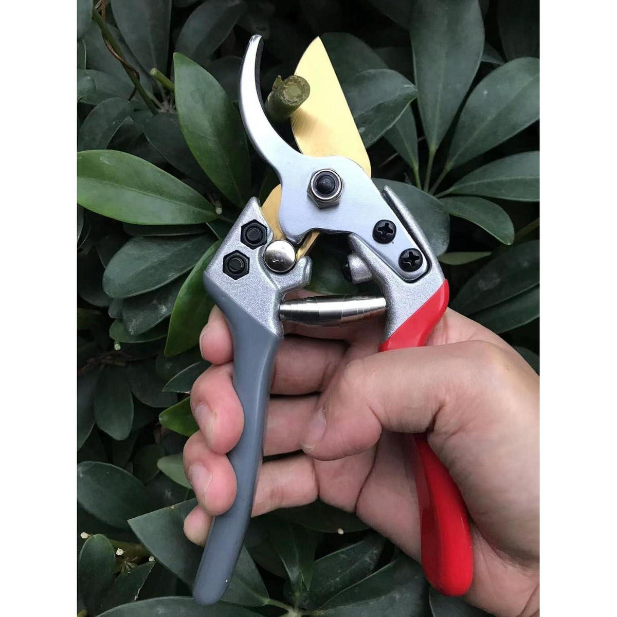 GARTENSCHERE Rot-grau - Multicolor, Metall (6.5/2.4/19.5cm)