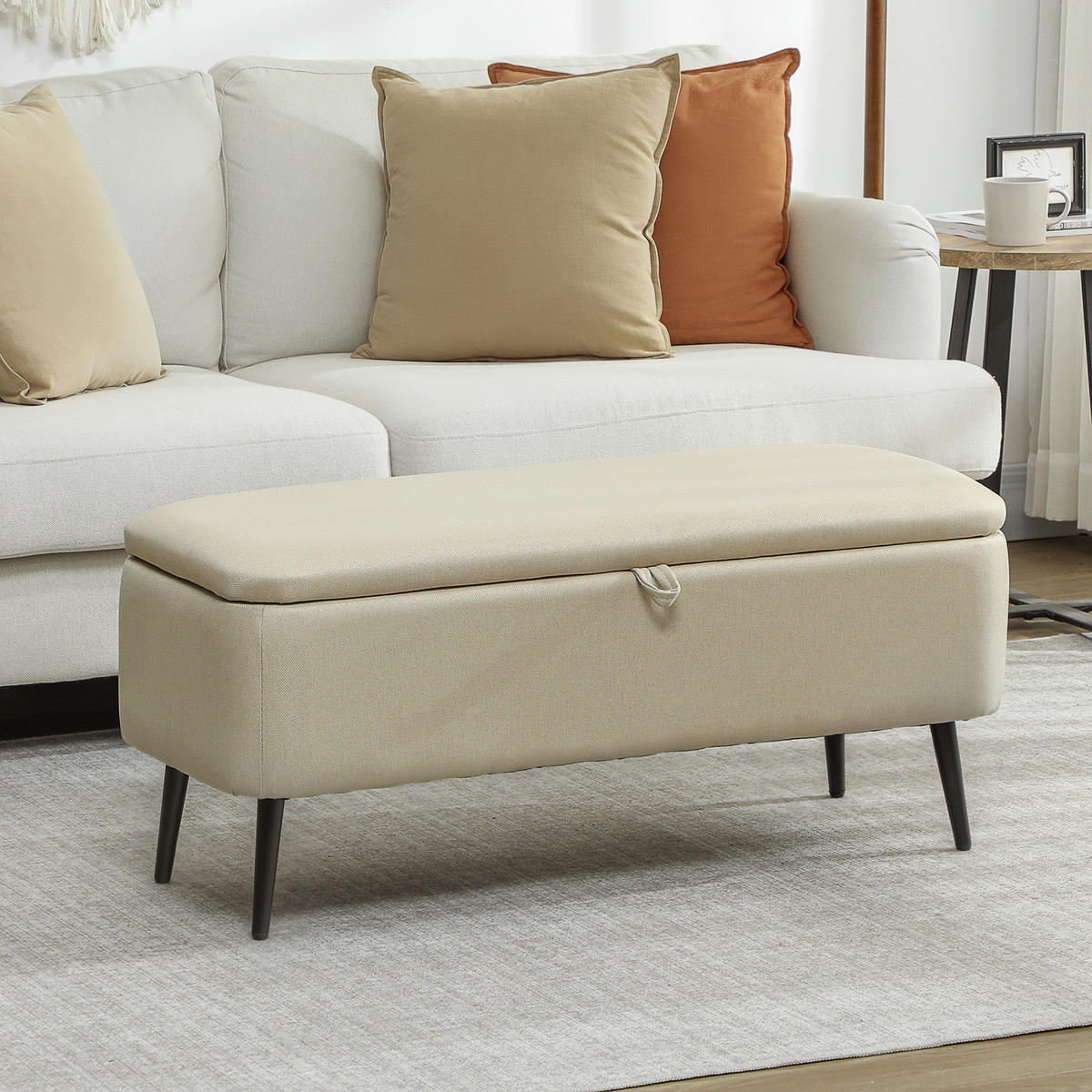 TRUHENBANK DE-16458 2-in-1 mit Stauraum und Samtbezug Beige - Beige, Textil (101/44.5/38.5cm) - ComfortXL