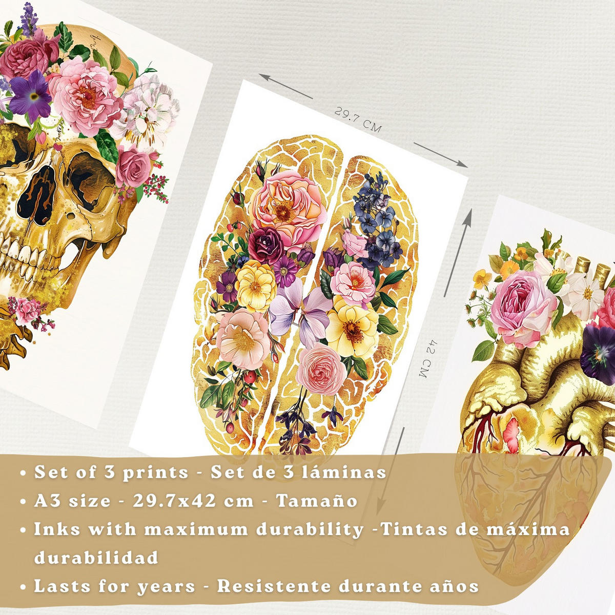 POSTER Set aus 3 Anatomie Mensch Drucke und Wandbilder mit Schädel Gehirn und Herz Goldene Florale Künstlerische Illustration Größe Rahmenlos A3 - Klar, Papier (29.7/42/3cm) - Nacnic