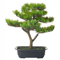KUNSTPFLANZE im Blumentopf 37 cm Grün Pine - Schwarz/Grün, Kunststoff (37cm) - Beliani