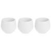 BLUMENTÖPFE Selbstbewässernd Kunststoff 3er-Set Ø 6 cm - Weiß, Kunststoff (6/6cm)