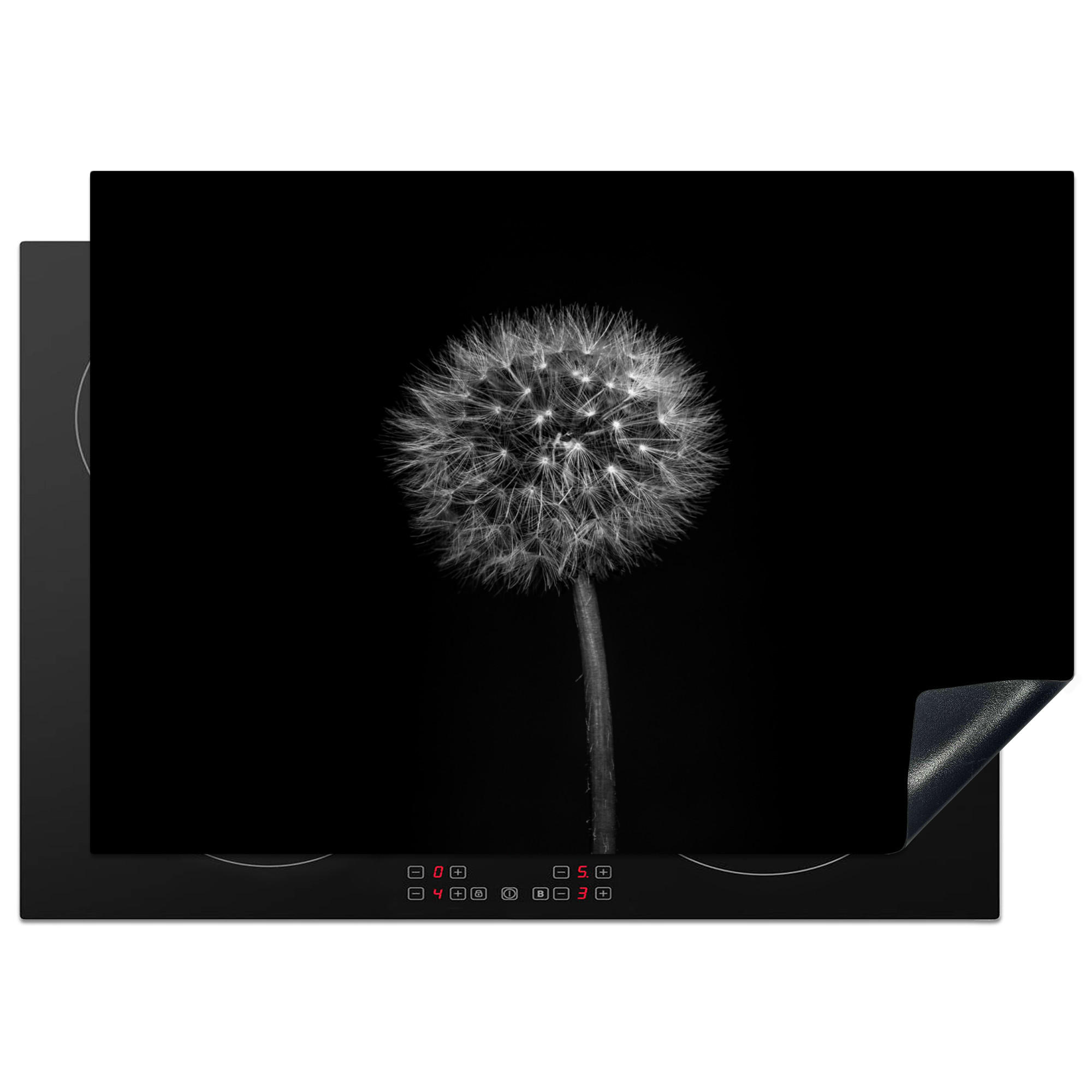 HERDABDECKPLATTE Löwenzahn - Schwarz - Floral - Botanisch 75x52 cm - Grau, Kunststoff (75/0.2/52cm) - MuchoWow