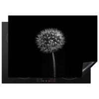 HERDABDECKPLATTE Löwenzahn - Schwarz - Floral - Botanisch 75x52 cm - Grau, Kunststoff (75/0.2/52cm) - MuchoWow