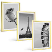 BILDER SET 3er Set - 40x60 cm Goldrahmen - Rose Eiffelturm Riesenrad - Goldfarben, Kunststoff (40/60cm) - TULUP