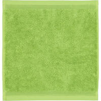 SEIFTUCH SUPERWUSCHEL PERIDOT - 658 - Grün, Textil (30/30cm) - MÖVE