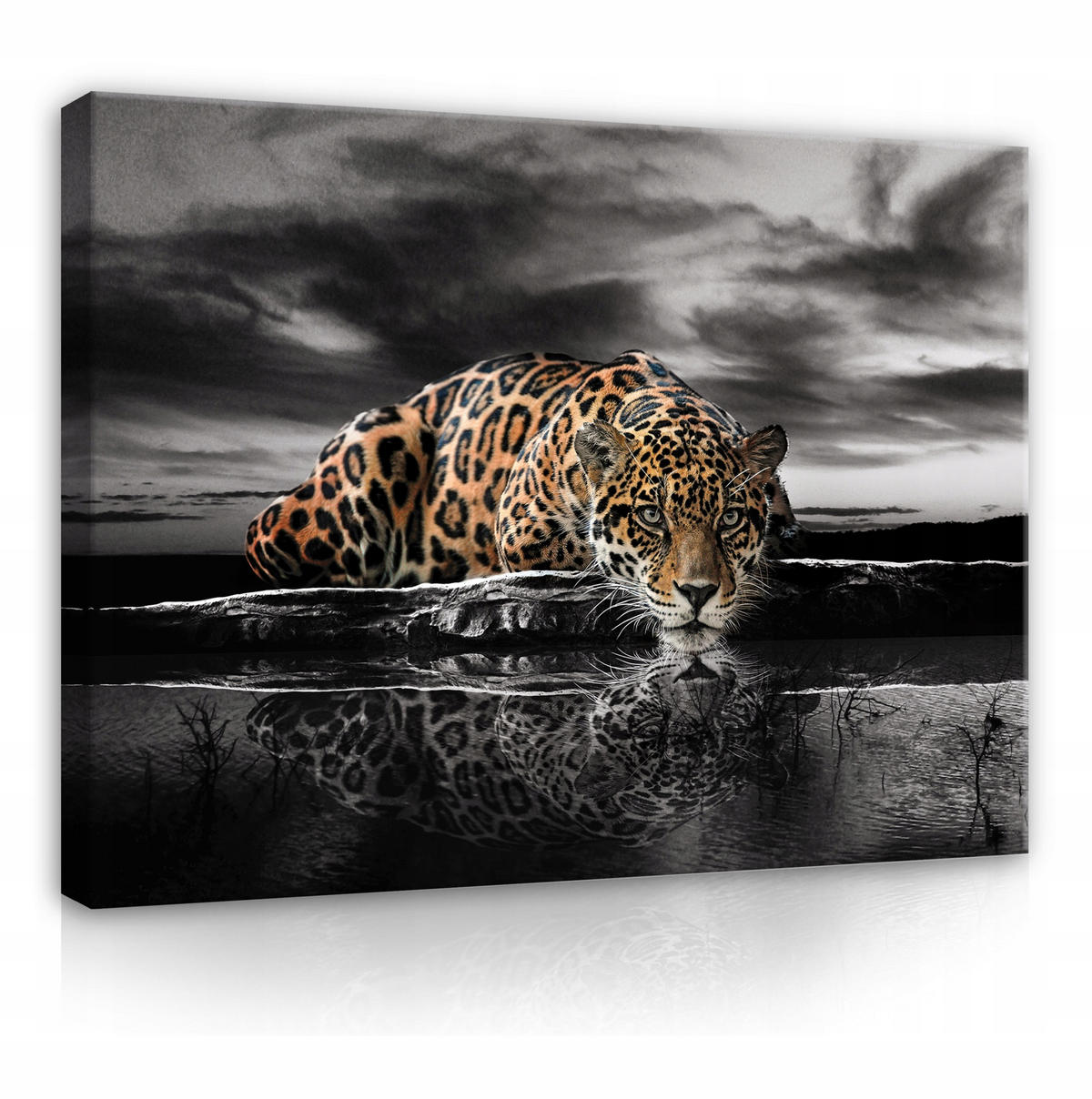 LEINWAND BILDER Tiger Tiere 120x80 - Multicolor, Holzwerkstoff (120/80cm) - Wallarena