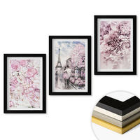 WANDBILDER 3er-Set - 20x30 cm Schwarzer Rahmen - Blumenlandschaft in Rosatönen - Schwarz, Kunststoff (20/30cm) - ArtPrintCave