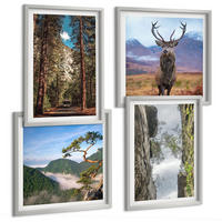BILDER SET 4er Set - 50x50 cm & 40x60 cm Silberner Rahmen - Straße Wald Berge Hirsch Natur - Silberfarben, Kunststoff (50/50cm) - TULUP