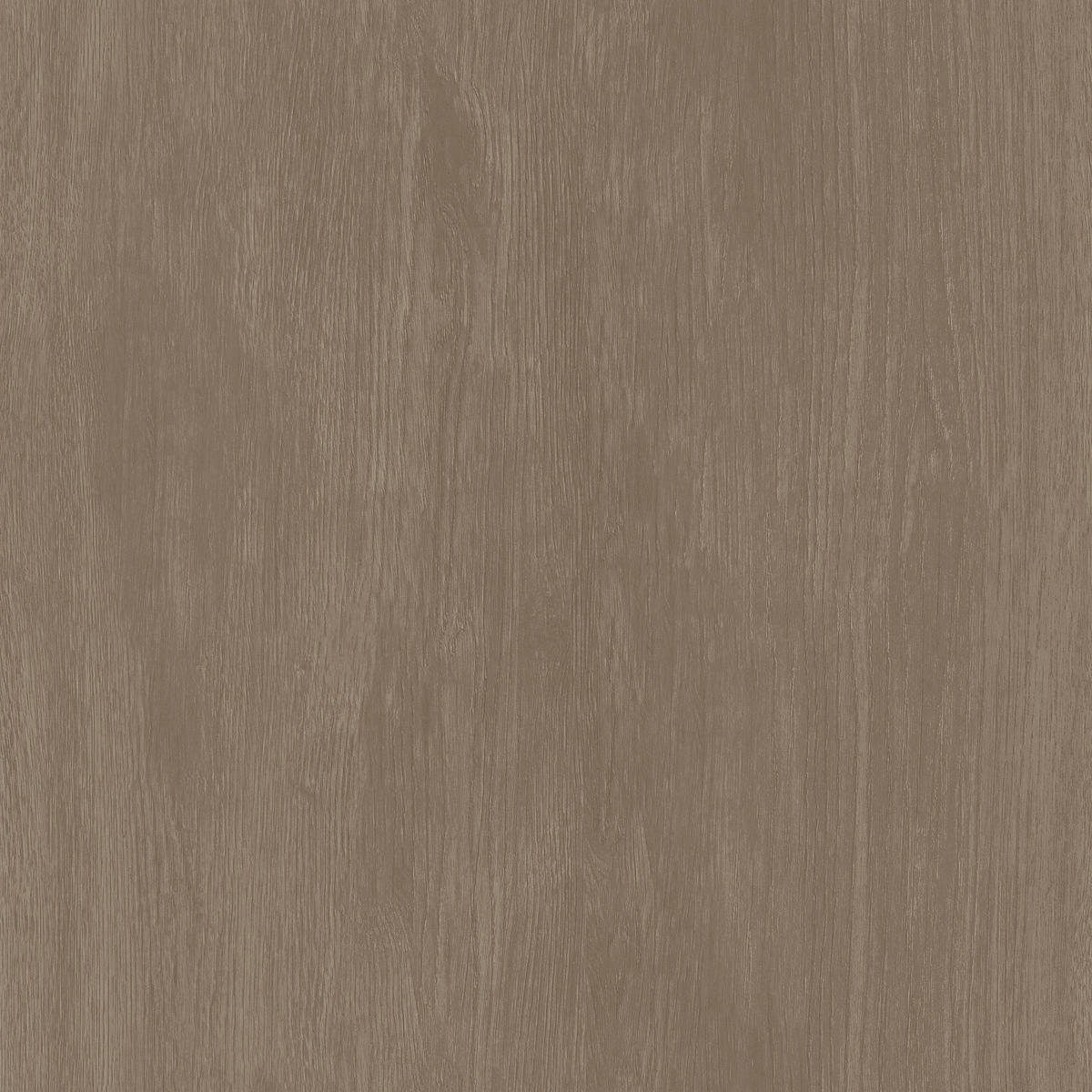 VLIESTAPETE - Eichenholz allover grau/braun 10mx53cm - Braun, Papier/Kunststoff (53/1000cm) - Superfresco Easy