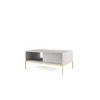 COUCHTISCH NOVA - L104, goldenen Akzenten, 104x68x46 cm Grau - Goldfarben/Graphitfarben, Holzwerkstoff/Kunststoff (68/104/46cm) - DomoHome