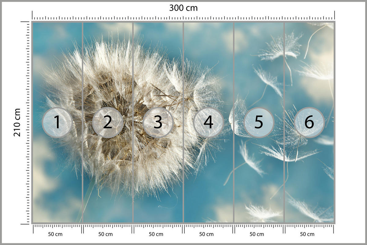 FOTOTAPETE für Schlafzimmer Löwenzahn im Wind Leicht Dynamisch 300x210 - Blau/Beige, Papier (300/210cm) - Muralo