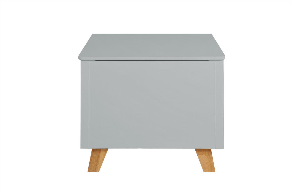 SPIELZEUGTRUHE Zara - Grau, Holzwerkstoff (66/45cm) - RAUMHIRSCH FURNITURE