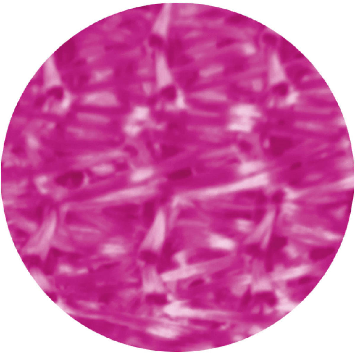 FADENVORHANG 90 cm x 240 cm Fadengardine (Pink Ideal als Insektenschutz oder Raumteiler - Pink, Textil (90/240cm) - Bestlivings