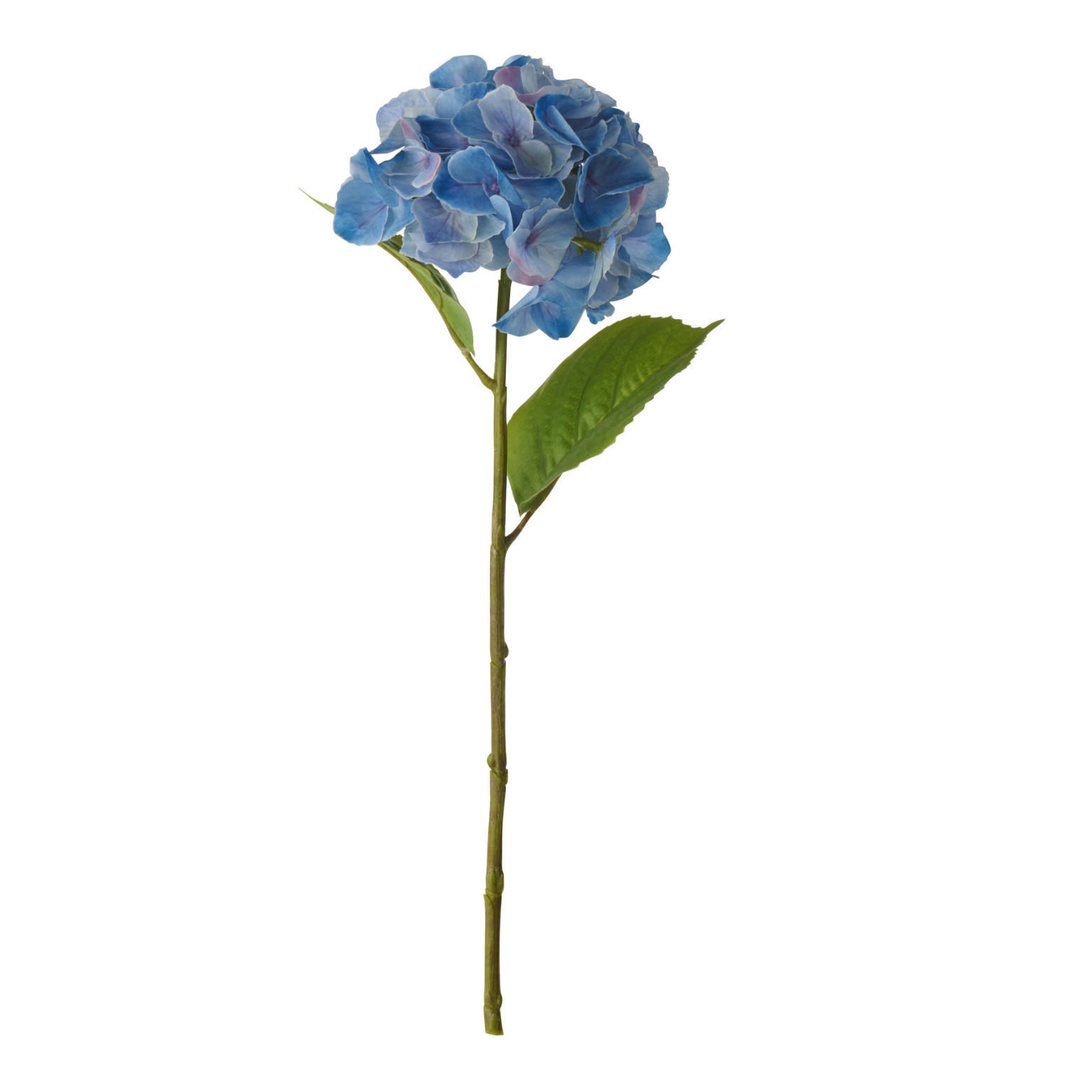 BLUME HORTENSIE FRESH TOUCH Blau - Blau, Textil (7cm) - J-Line