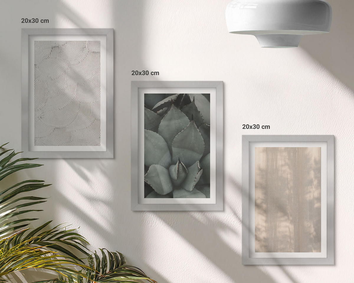 BILDER SET 3er Set - 20x30 cm Silberner Rahmen - Sommerliche tropische Texturen - Silberfarben, Kunststoff (20/30cm) - TULUP