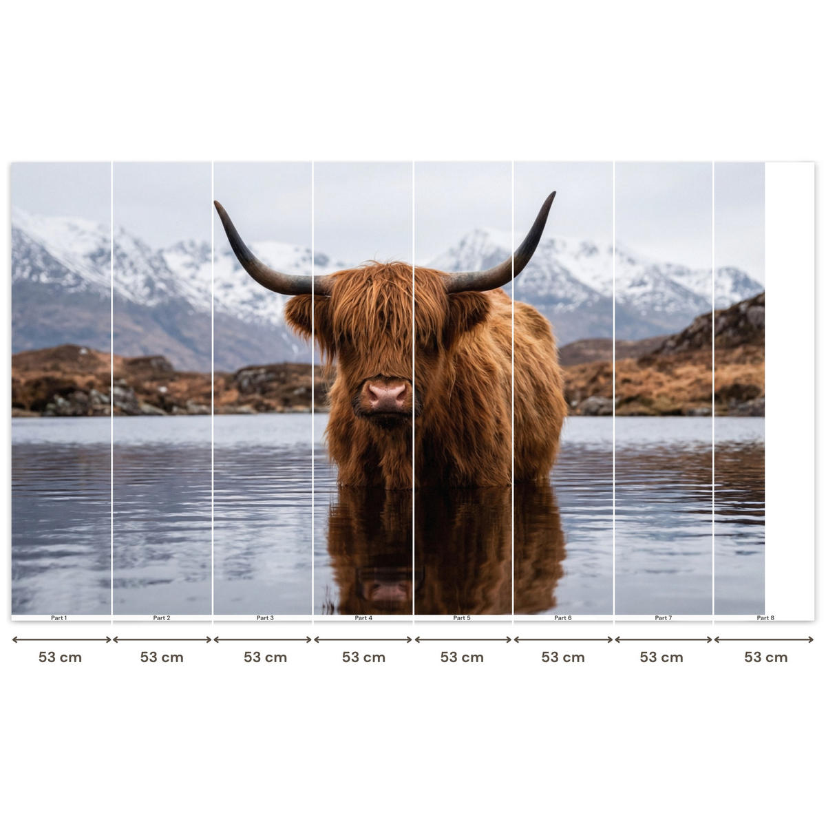TAPETE - Schottischer Hochländer - Braun - Wasser - 400x240 cm - Braun, Papier (400/240cm) - OnlyWow