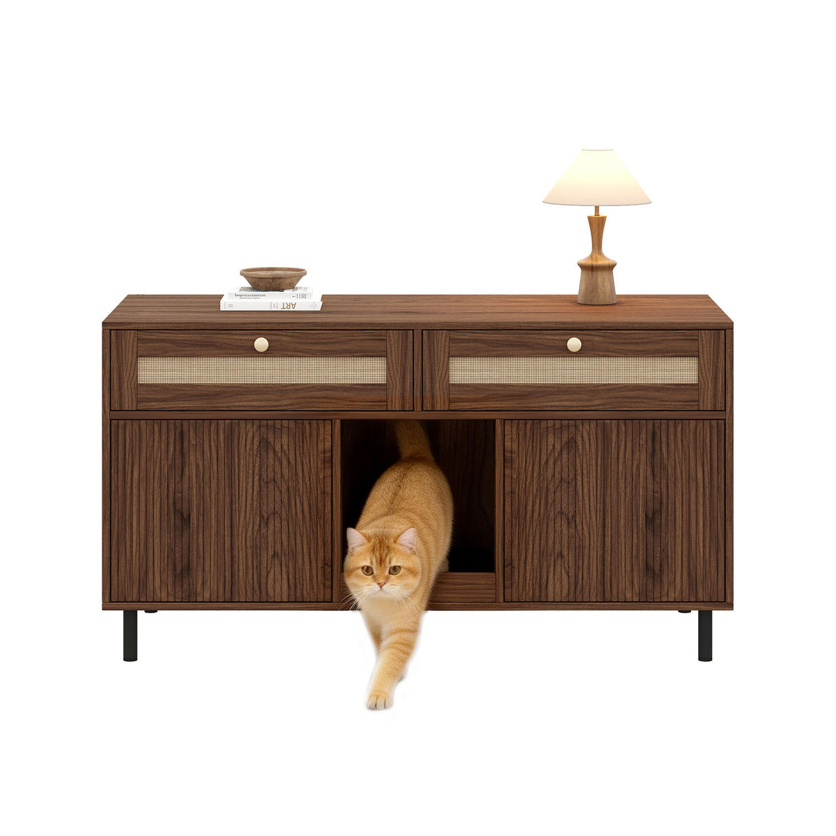 SIDEBOARD Nussbaumfarben 120×50×65 cm, multifunktionaler Katzentoilettenschrank mit Rattan-Details - Nussbaumfarben, Holzwerkstoff (120/65/50cm) - Luhomfu