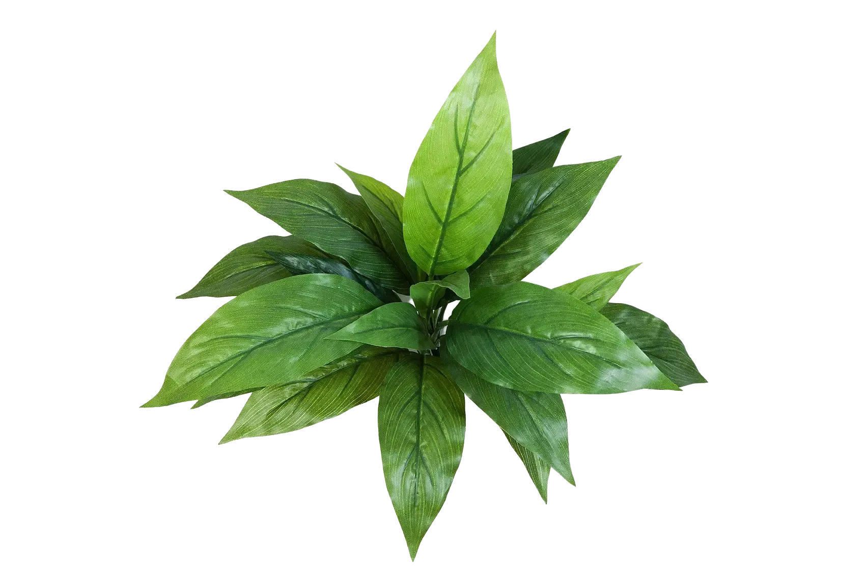 KUNSTPFLANZE Künstliche Cordyline - Hannah 30 cm - Grün, Kunststoff (30cm) - aplanta