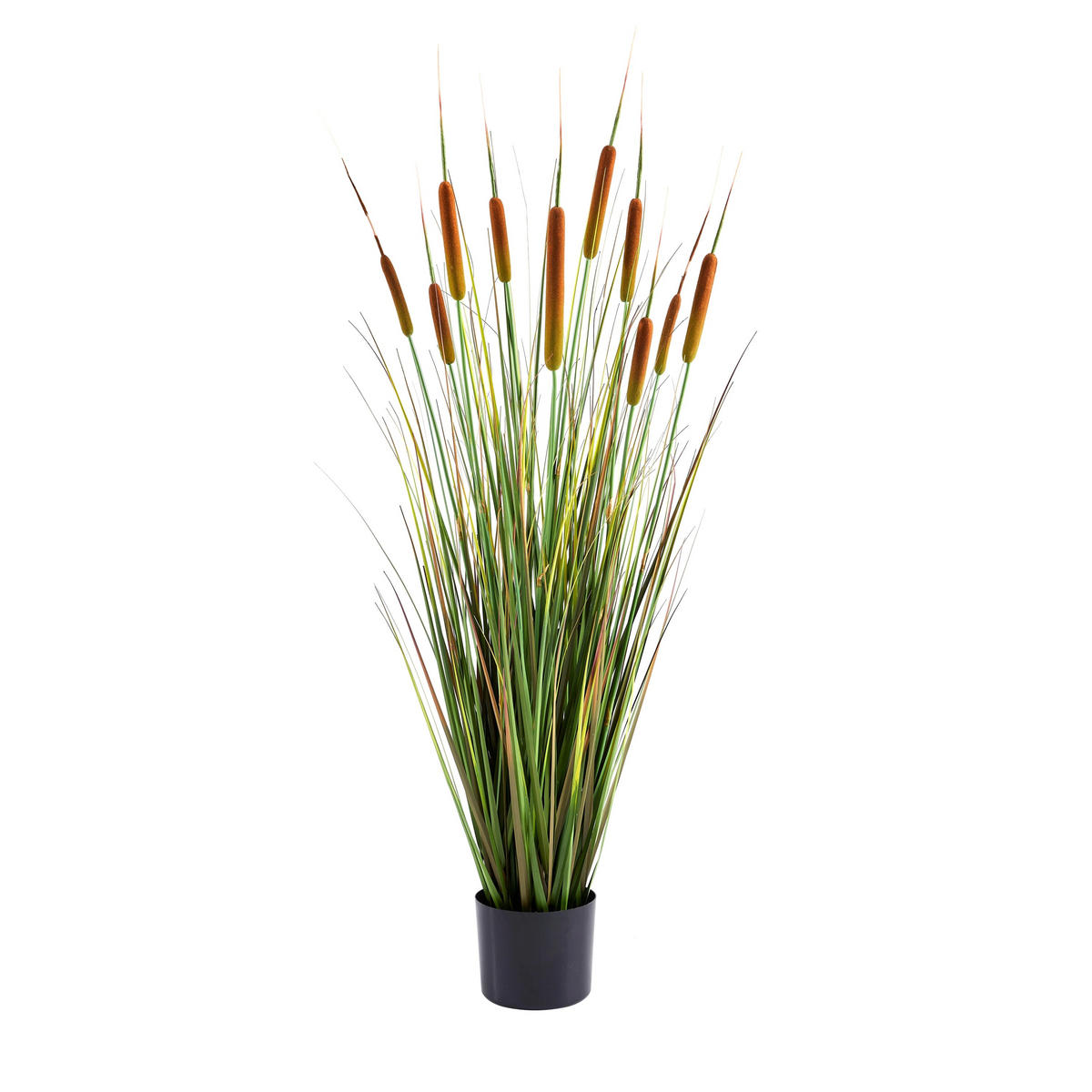 KUNSTPFLANZE Künstlicher Rohrkolben – Emeric 120 cm - Grün, Kunststoff (120cm) - aplanta