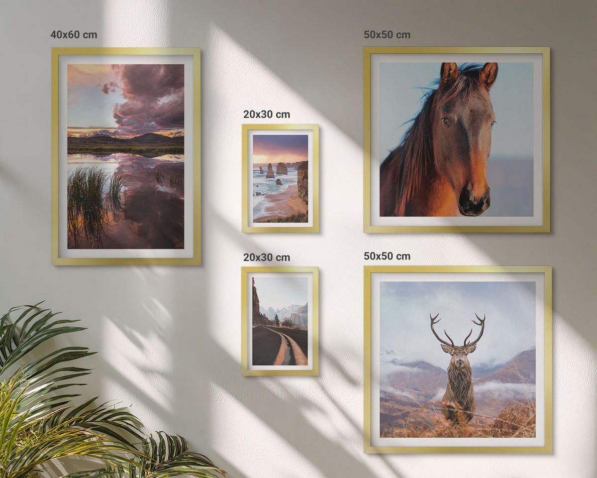 WANDBILDER 5er Set - 50x50 cm & 20x30 cm & 40x60 cm Goldrahmen - Berglandschaften, Rentiere, Pferdestraße - Goldfarben, Kunststoff (40/60cm) - ArtPrintCave