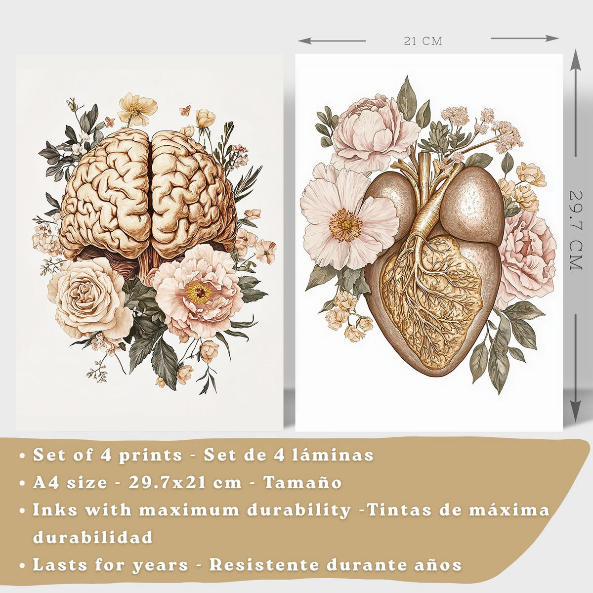 POSTER Set aus 4 Körper Anatomie Drucke mit Gehirn Herz Lungen Luftröhre Bronchien Nieren Verdauungssystem Magen Darm Größe Schwarzer Rahmen A4 - Schwarz, Papier (21/29.7/3cm) - Nacnic