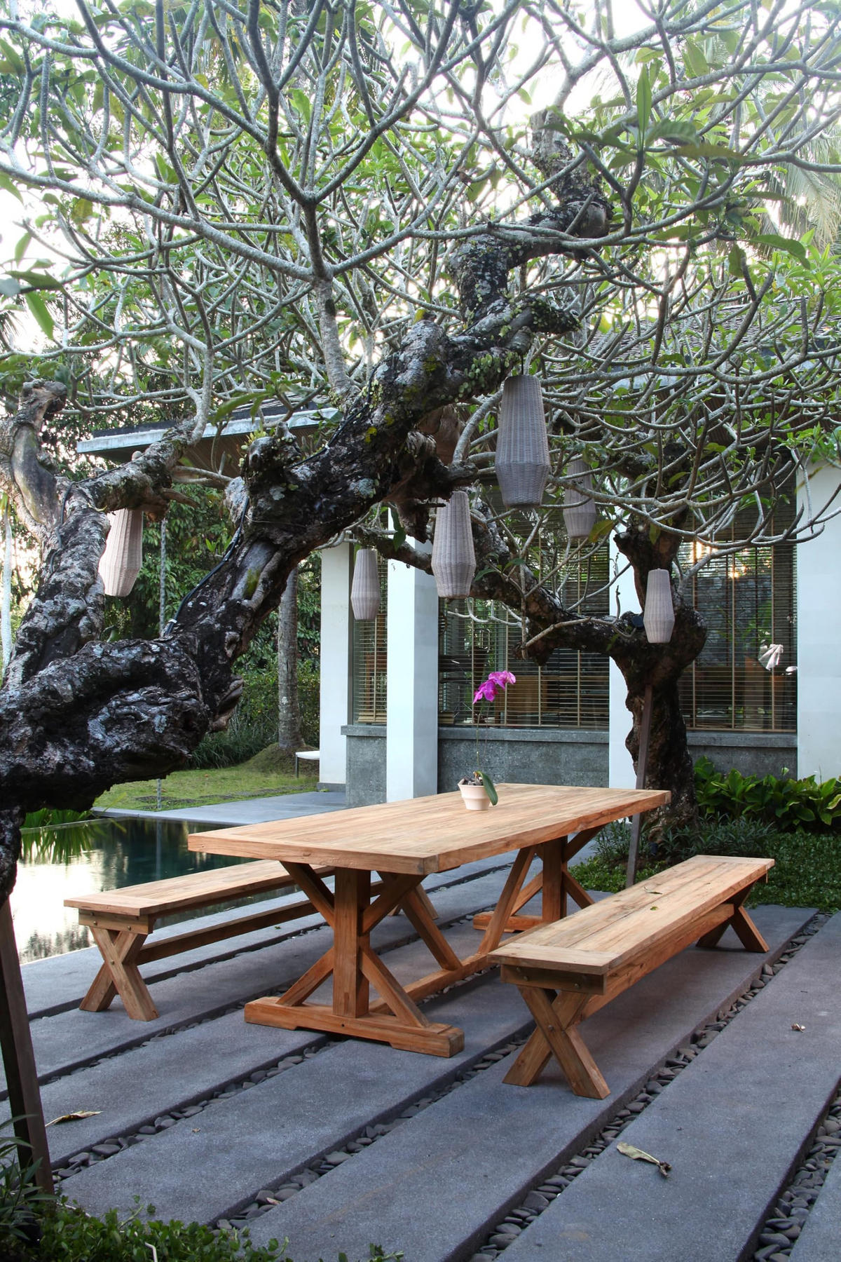 GARTENTISCH Niels Terrassentisch - Braun, Holz (220.5/100/75cm) - DELUKE