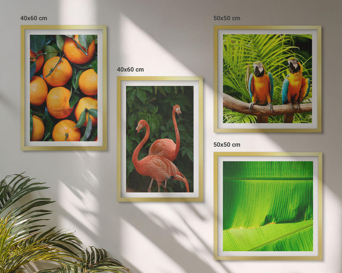 BILDER SET 4er Set - 50x50 cm & 40x60 cm Goldrahmen - Fruchtige Akzente der Tropen - Goldfarben, Kunststoff (50/50cm) - TULUP