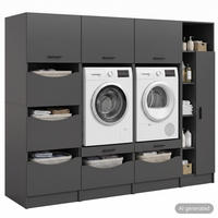 WASCHMASCHIENENUMBAU Set FREE (B/H/T: ca. 242/195/68 cm) in anthrazit/anthrazit - Anthrazit, Holzwerkstoff (242/195/68cm) - Homes & Jones