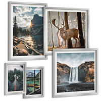 BILDER SET 5er Set - 50x50 cm & 20x30 cm & 40x60 cm Silberner Rahmen - Blumenarrangements in Vasen - Silberfarben, Kunststoff (40/60cm) - TULUP