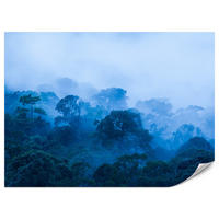 FOTOTAPETE für Wohnzimmer Tropischer Laubwald Nebel Dschungel 350x256 - Schwarz, Papier (350/256cm) - Muralo