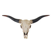 DEKO SCHÄDEL LONGHORN Beige - Beige, Stein (75/37/12cm) - MCW