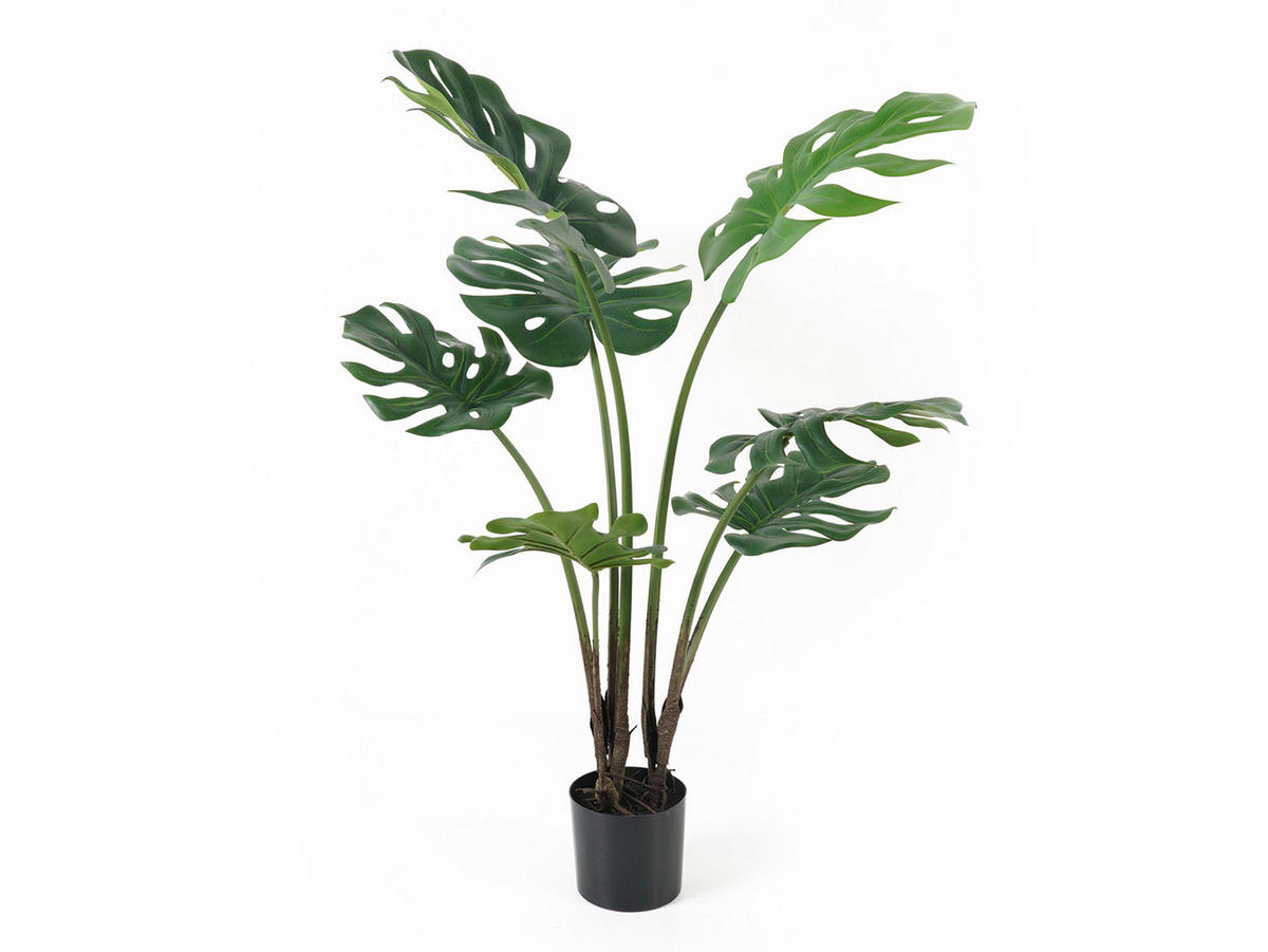 DEKOPFLANZE Monstera 70/70/89 cm - Grün, Kunststoff (89cm) - Present Time