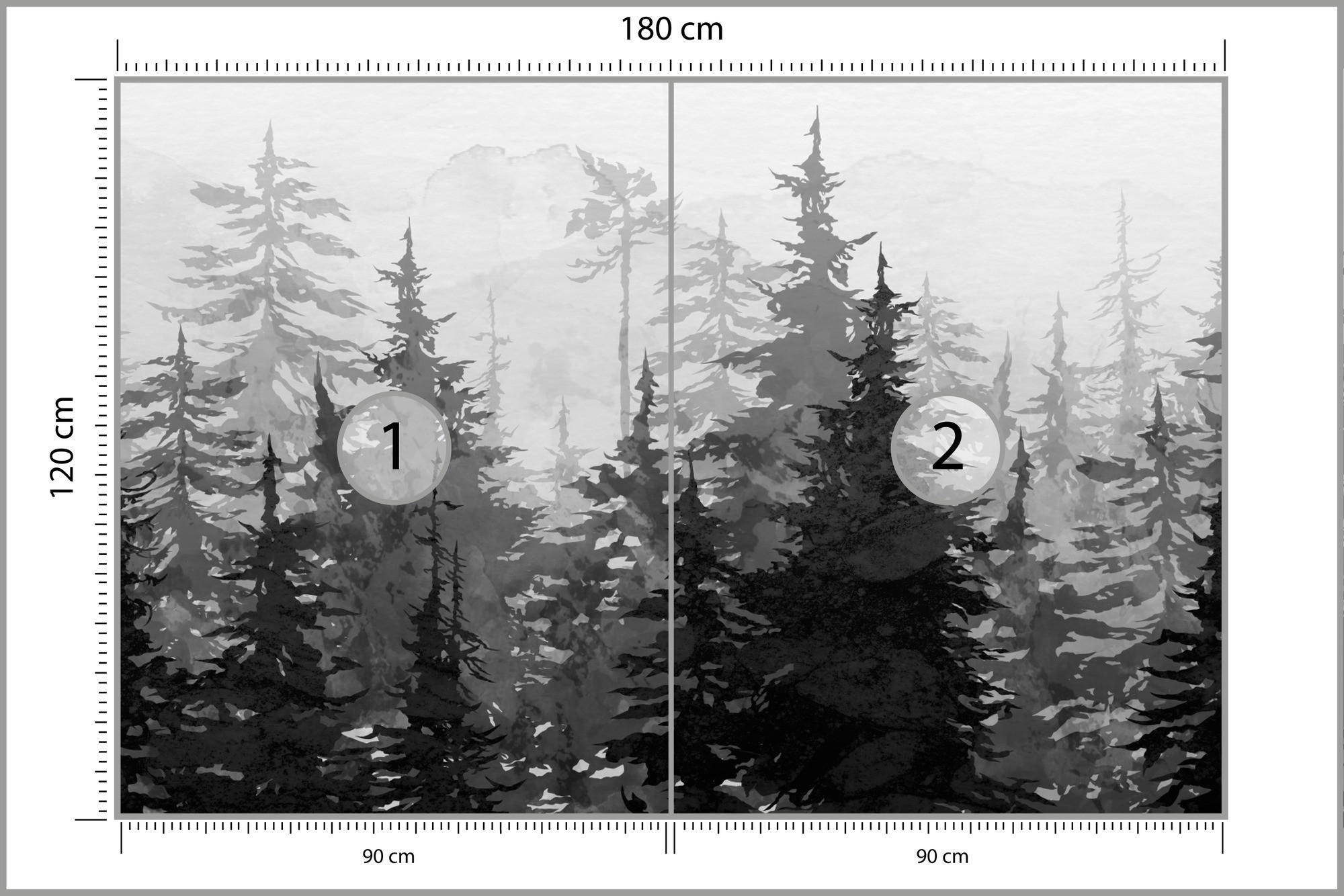 FOTOTAPETE Schwarz-Weiß WALD Bäume Natur 180x120cm - Schwarz/Weiß, Papier (180/120cm) - Muralo