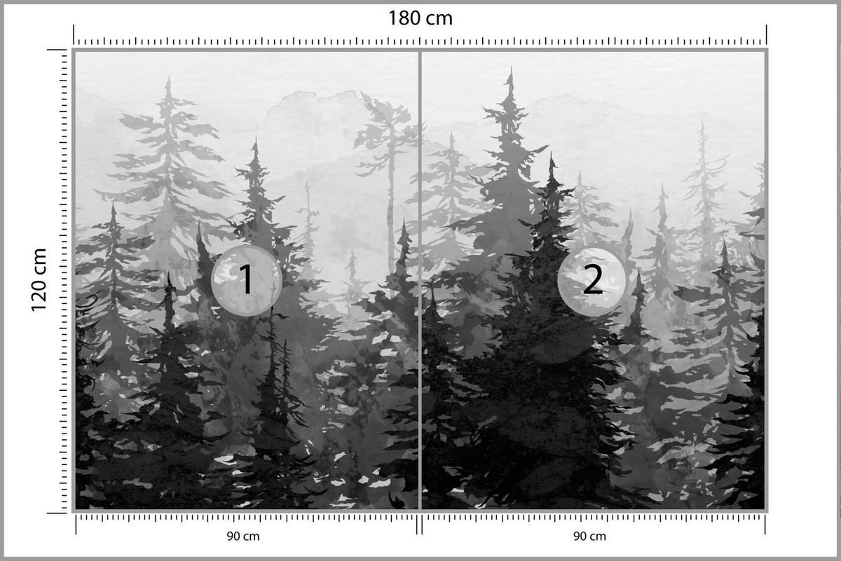 FOTOTAPETE Schwarz-Weiß WALD Bäume Natur 180x120cm - Schwarz/Weiß, Papier (180/120cm) - Muralo