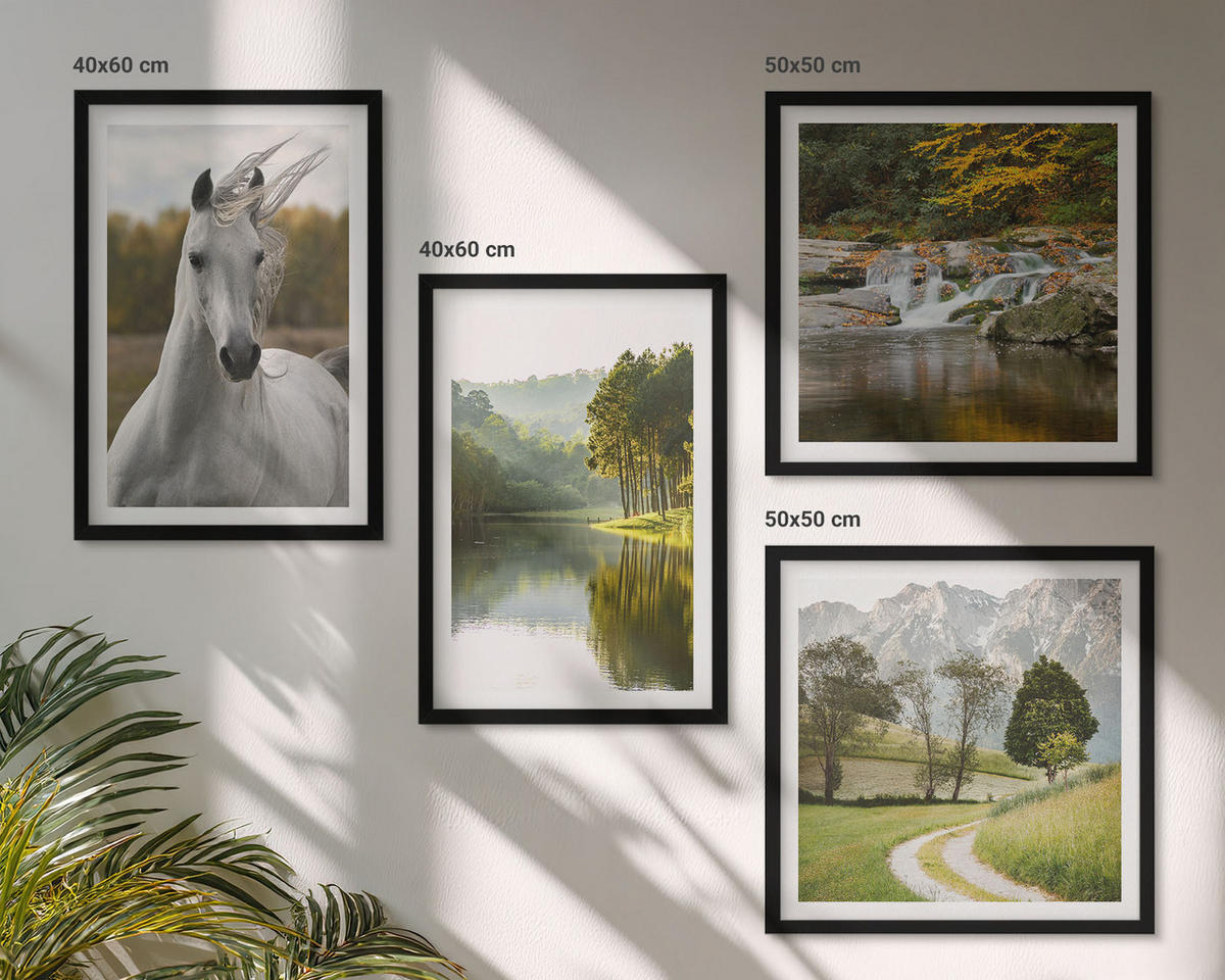 WANDBILDER 4er-Set - 50x50 cm & 40x60 cm Schwarzer Rahmen - Natur des Flusses White Horses - Schwarz, Kunststoff (50/50cm) - ArtPrintCave