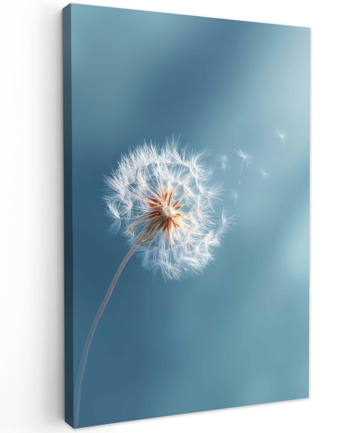 LEINWANDBILD Löwenzahn - Wind - Blau Deko XXL 80x120 cm - Blaugrau, Textil (80/120cm) - MuchoWow