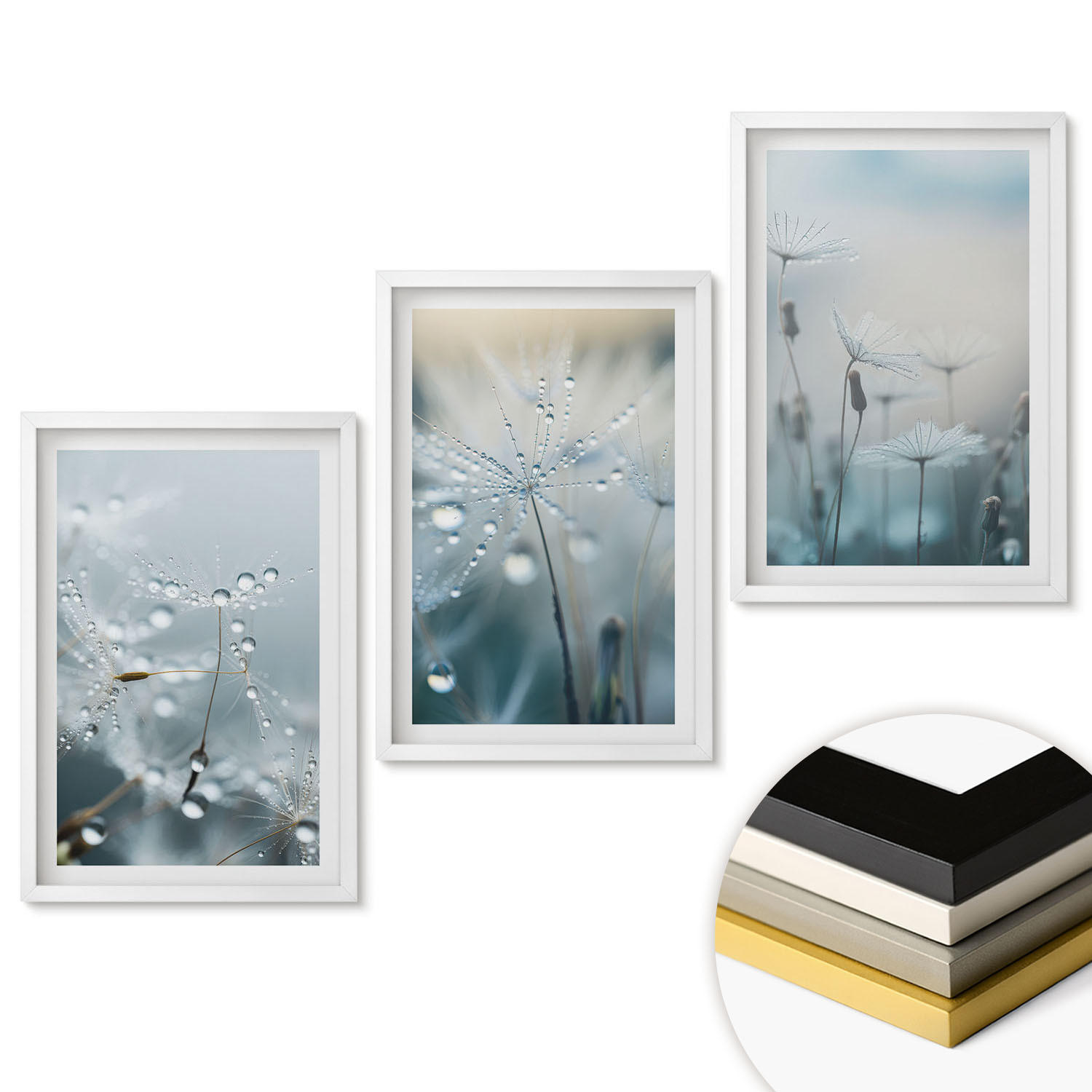 WANDBILDER 3er-Set - 40x60 cm Weißer Rahmen - Tautropfen auf Löwenzahn - Weiß, Kunststoff (40/60cm) - ArtPrintCave