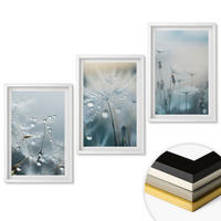 WANDBILDER 3er-Set - 40x60 cm Weißer Rahmen - Tautropfen auf Löwenzahn - Weiß, Kunststoff (40/60cm) - ArtPrintCave