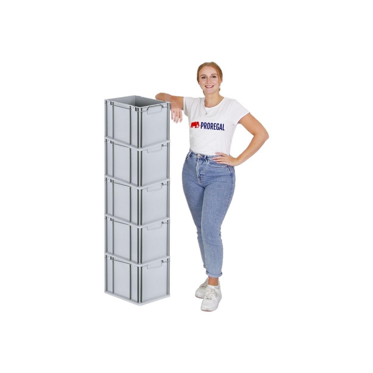 EUROBOX 5x Nextgen Economy Mit Scharnierdeckel Grau/Schwarz Griffe Geschlossen - Schwarz, Kunststoff (30/32/40cm) - PROREGAL