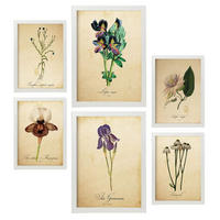 POSTER Set Mit 6 Vintage Blumen Sammlung A3 & A4 Weißer Rahmen - Weiß, Papier (29/3cm) - Nacnic