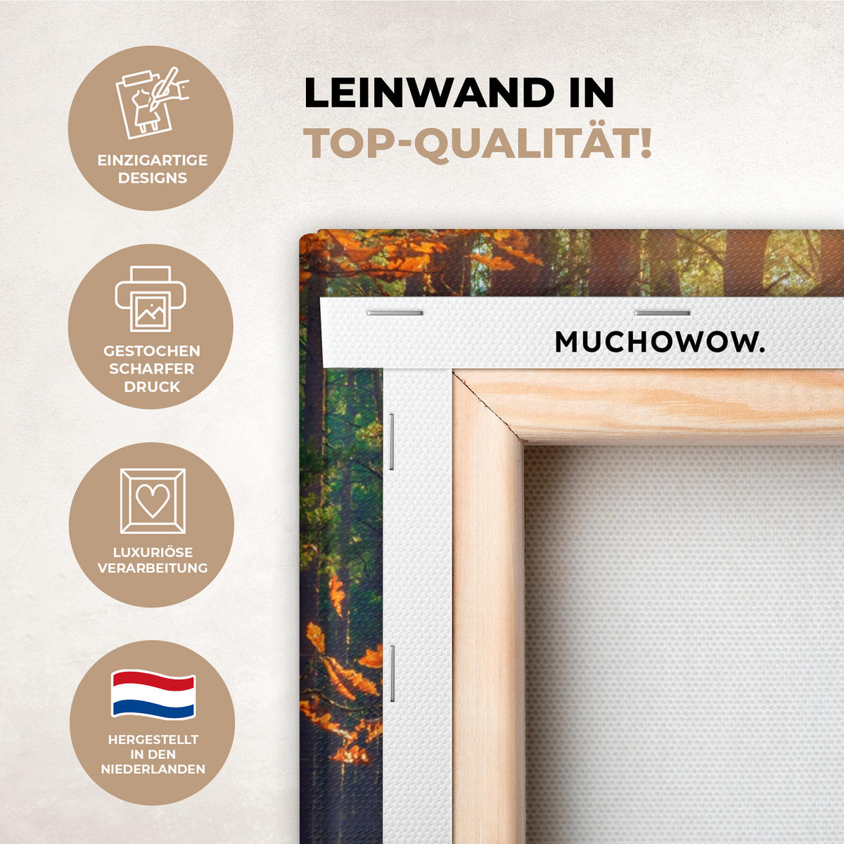 LEINWANDBILD Wald - Herbst - Bäume 50x50 cm - Dunkelgrün, Textil (50/50cm) - MuchoWow