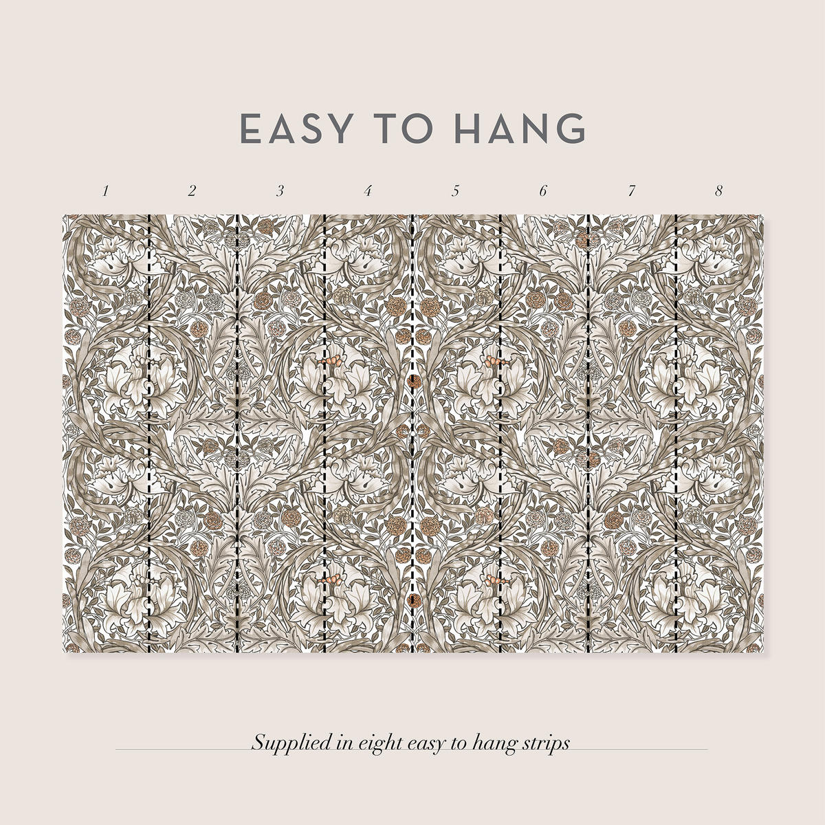 FOTOTAPETE Ringelblume Neutral - Beige, Papier/Kunststoff (250/400cm) - Graham & Brown