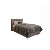 POLSTERBETT Zaira 100x200cm – Elegantes Polsterbett für modernen Wohnstil , ZONIERTE TASCHENFEDERN KOKOS (21cm), hellgrau - Hellgrau, Holz - Panda Möbel