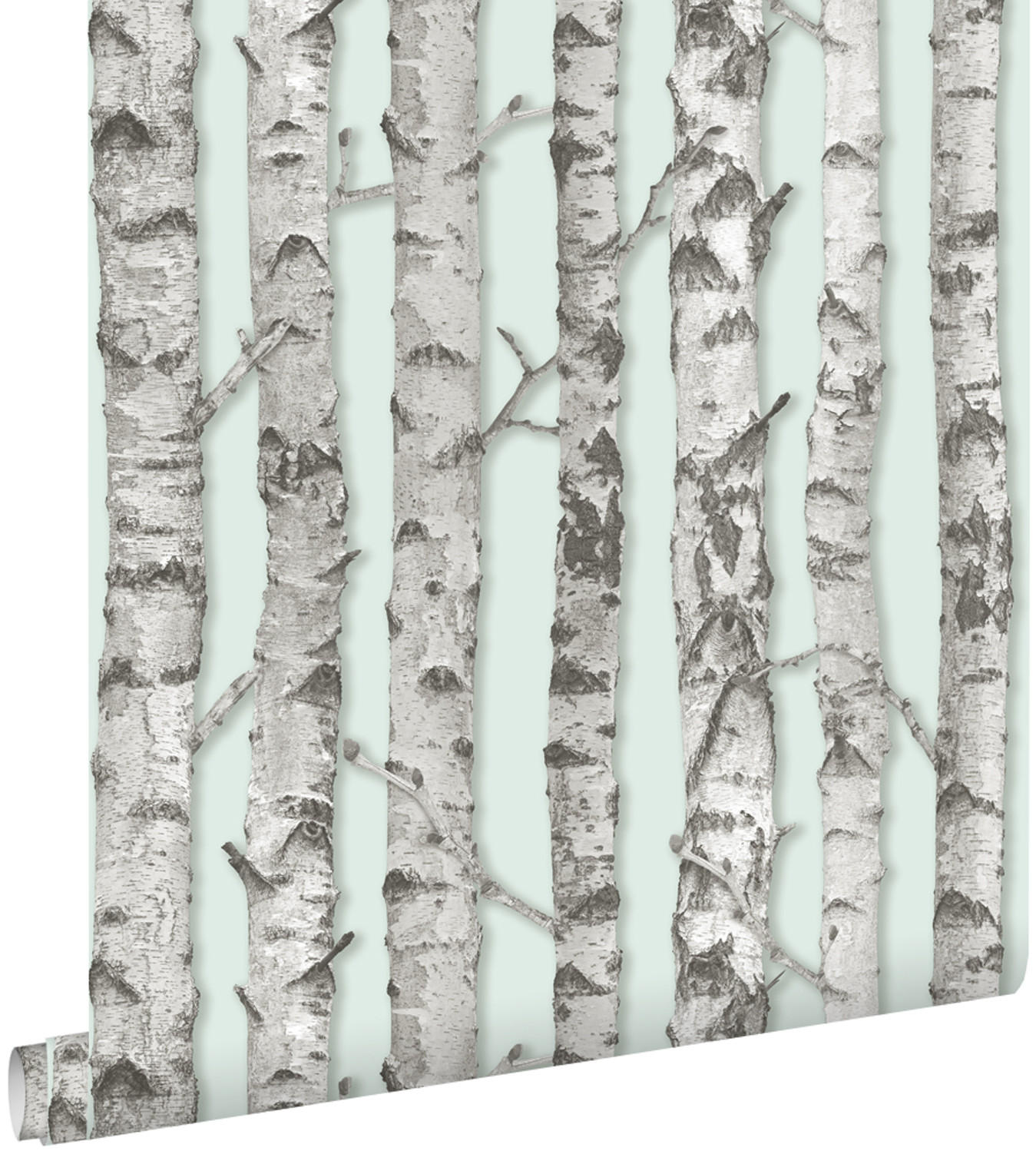 TAPETE Birkenstämme 53 cm x 10.05 m - Grün, Papier (53/1000cm) - ESTAhome