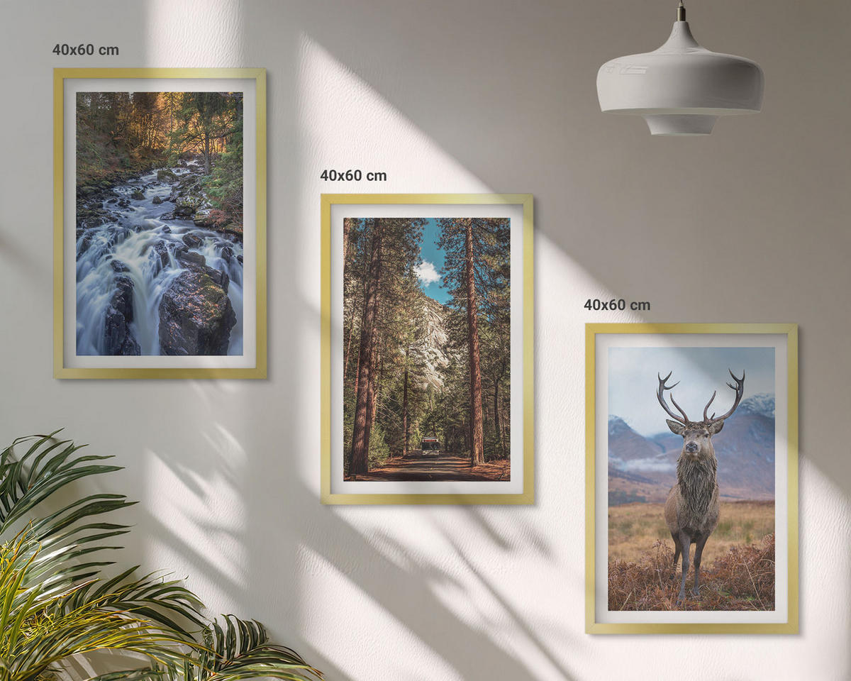 BILDER SET 3er Set - 40x60 cm Goldrahmen - Wasserfall Wald Berge Hirsch Natur - Goldfarben, Kunststoff (40/60cm) - TULUP