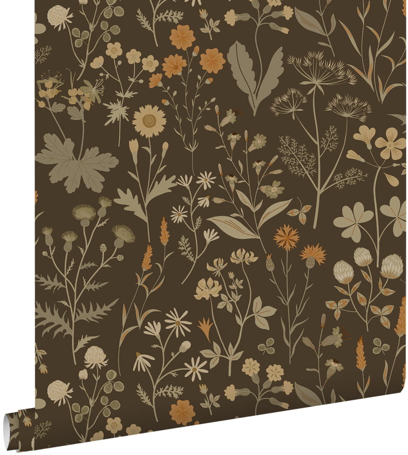 TAPETE Feldblumen 50 x 900 cm - Braun, Papier (50/900cm) - ESTAhome