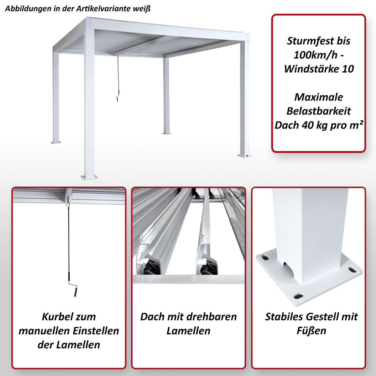 PERGOLA Anthrazit - Anthrazit, Metall (300/220/300cm) - MCW