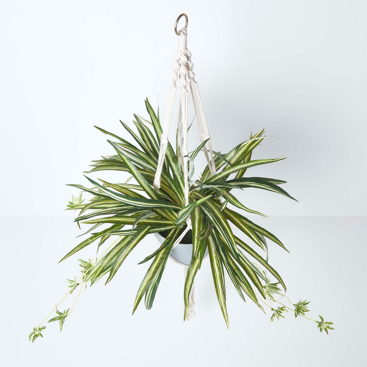 KUNSTPFLANZE Grünlilie in Hängeampel, 95 cm - Grün, Kunststoff (95cm) - Homescapes