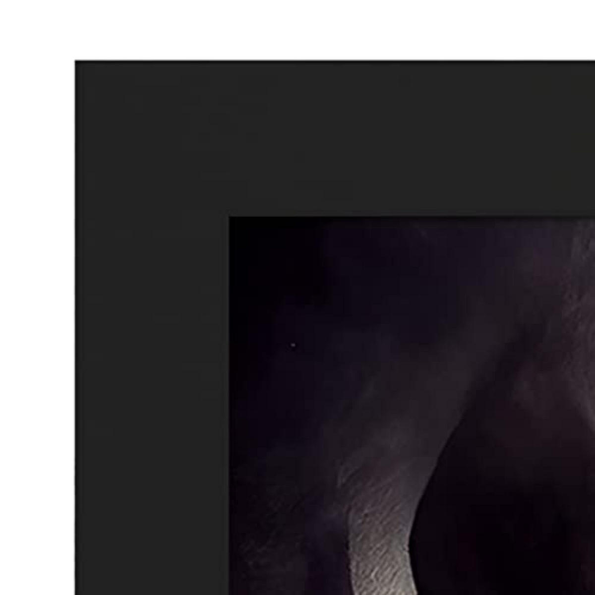 POSTER Set mit 4 Scheu Tier im T Burton Goth Stil A4 Schwarzer Rahmen - Schwarz, Papier (29.7/3cm) - Nacnic