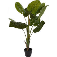 ZIMMERPFLANZE Alocasia Wentii 110 cm - Grün, Kunststoff (110cm)